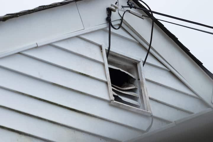 A home has external damage showing sings of needing wildlife removal services