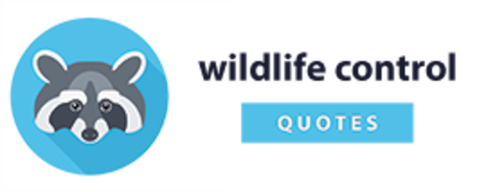 free wildlife control quotes